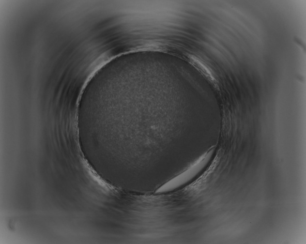 X0000091710800200709071411