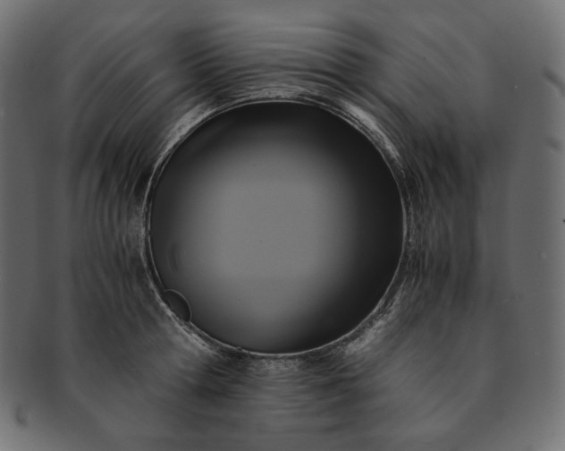 X0000091710802200709071411