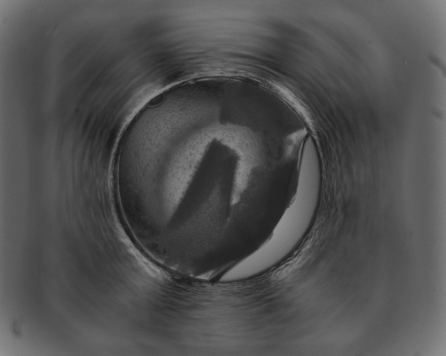 X0000091710803200709071411