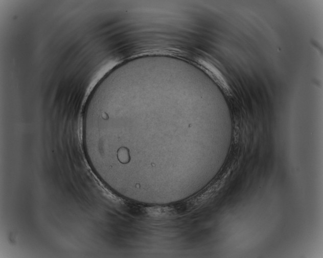 X0000091710804200709071411