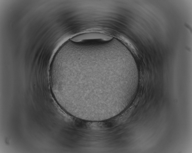 X0000091710808200709071411