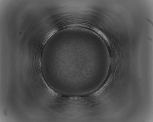 X0000091710809200709071411