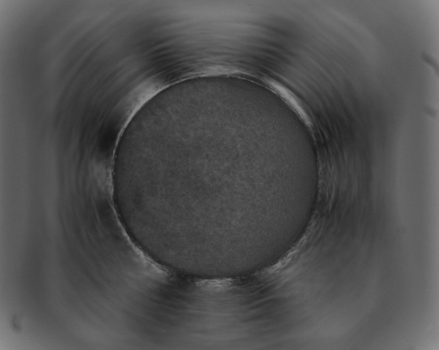 X0000091710810200709071411