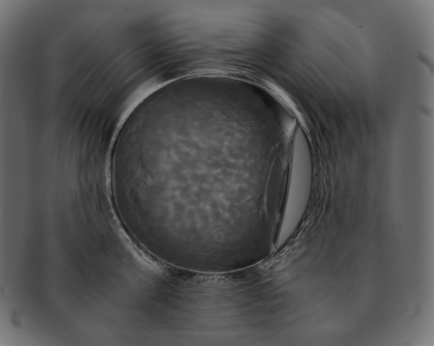 X0000091710811200709071411