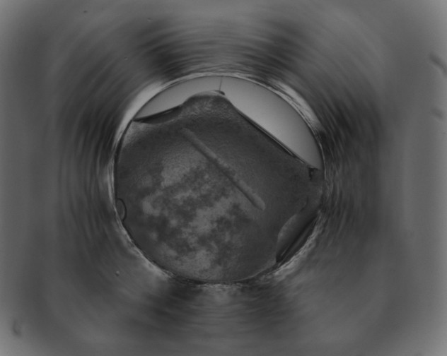 X0000091710812200709071411