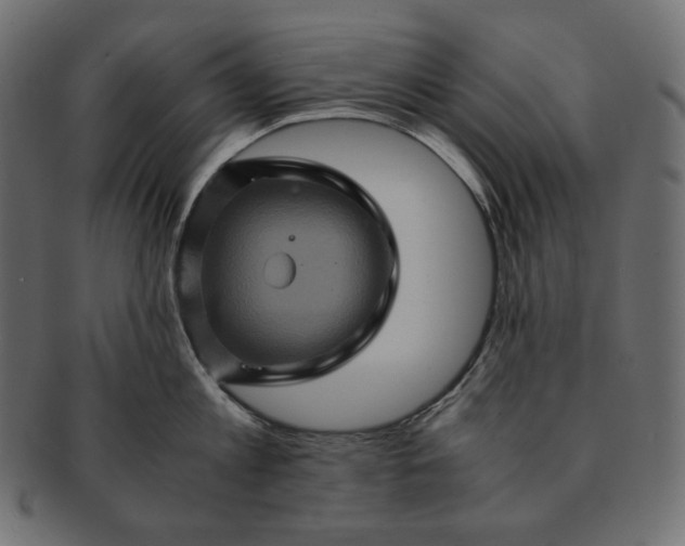 X0000091710813200709071411