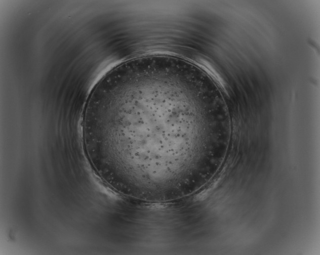 X0000091710814200709071411