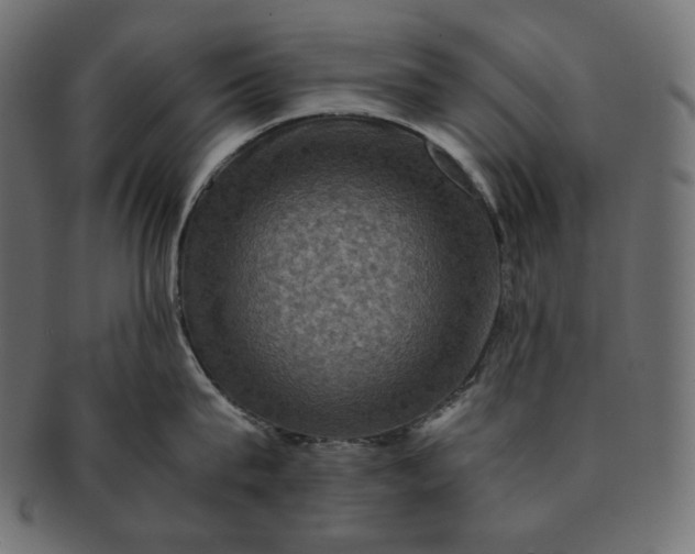 X0000091710815200709071411