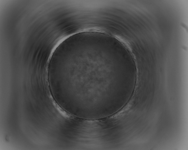 X0000091710816200709071411