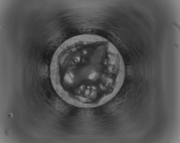 X0000091710820200709071410