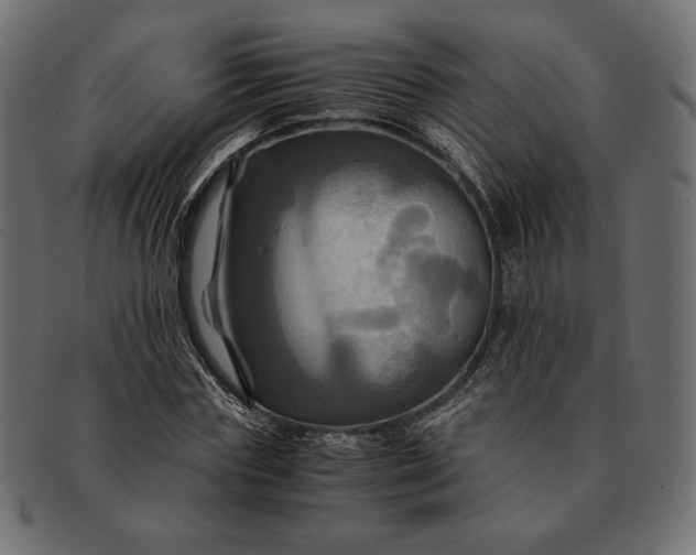 X0000091710827200709071410