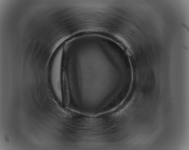 X0000091710829200709071411