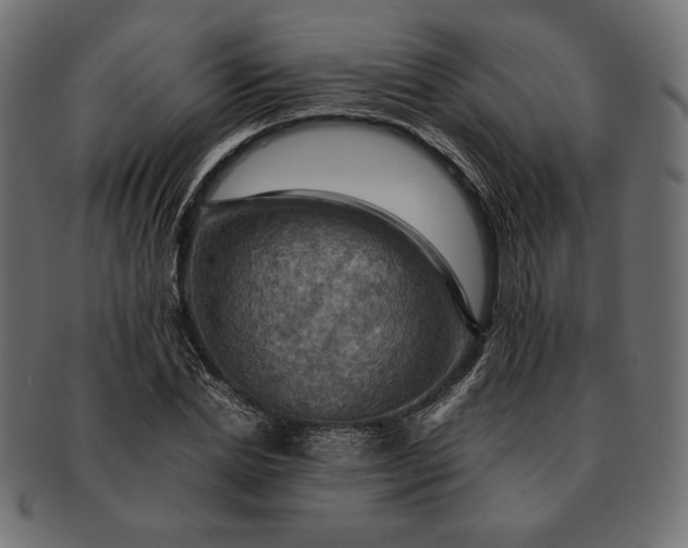 X0000091710830200709071411