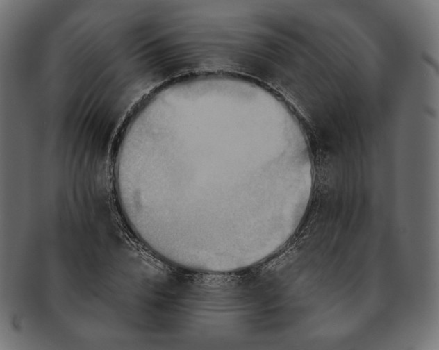 X0000091710832200709071411