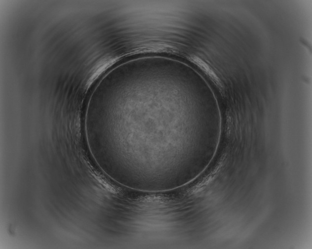 X0000091710834200709071411