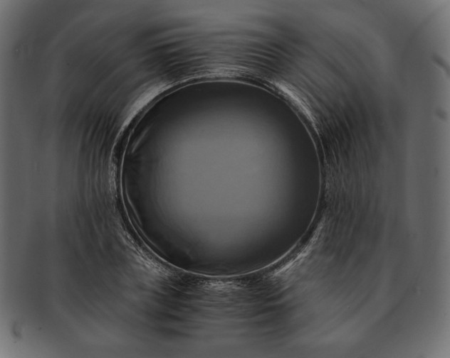 X0000091710835200709071411