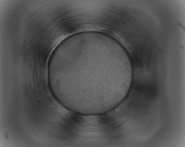 X0000091710836200709071411