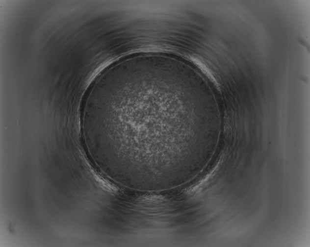 X0000091710837200709071411