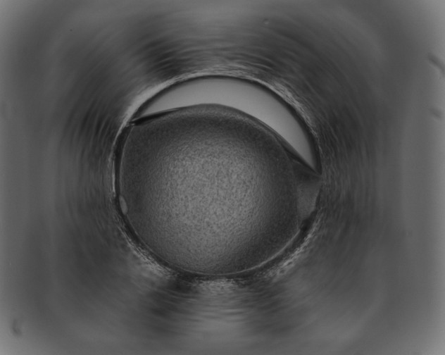 X0000091710838200709071411