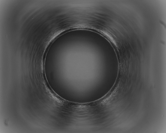 X0000091710839200709071411