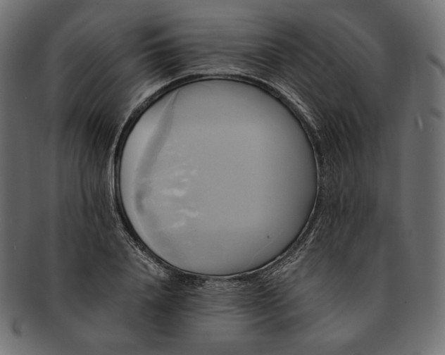 X0000091710840200709071411