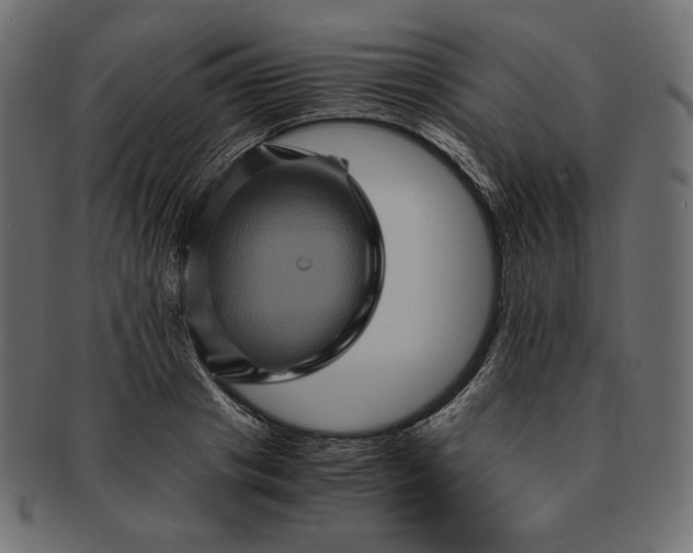 X0000091710841200709071411