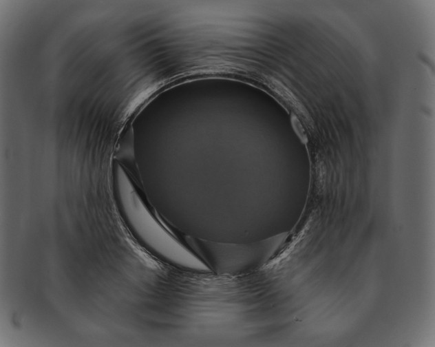 X0000091710842200709071411