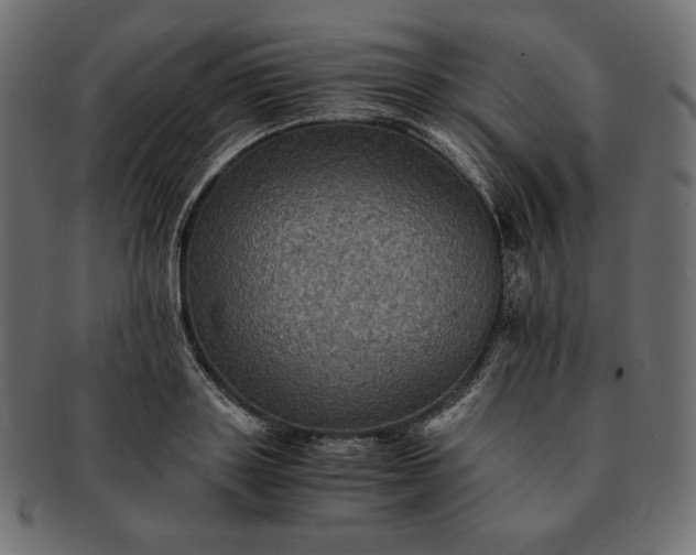 X0000091710843200709071411