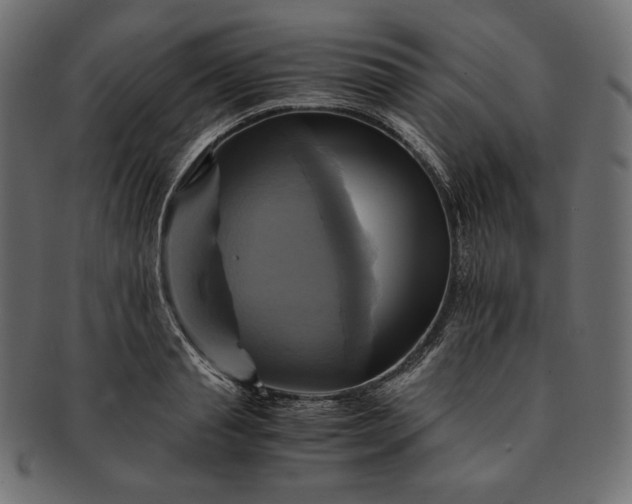 X0000091710845200709071411