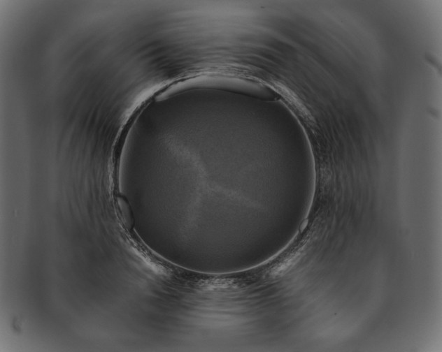 X0000091710846200709071411