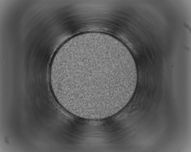 X0000091710848200709071411