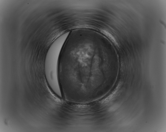 X0000091710849200709071411