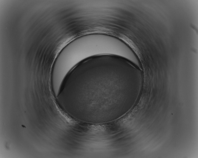 X0000091710850200709071411