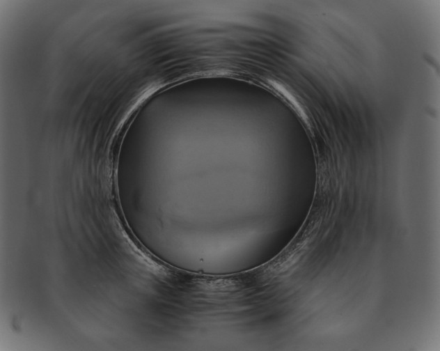 X0000091710851200709071411