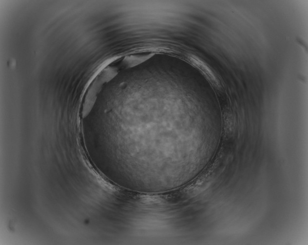 X0000091710852200709071411