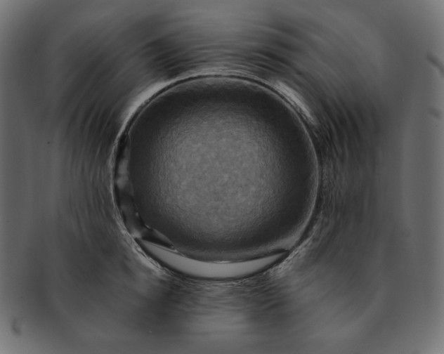 X0000091710854200709071411