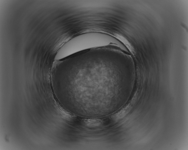 X0000091710857200709071411