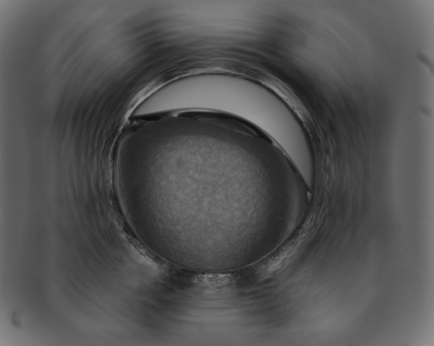 X0000091710858200709071411