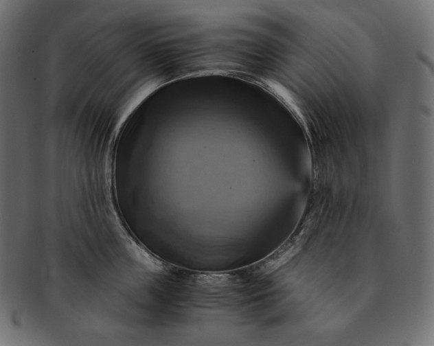 X0000091710859200709071411