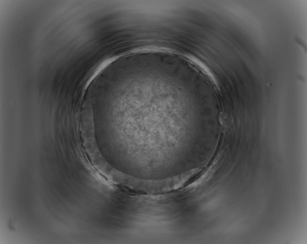 X0000091710860200709071411