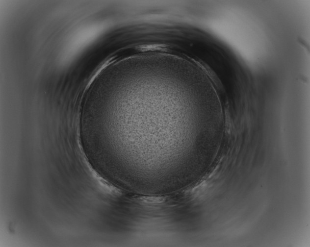 X0000091710861200709071411