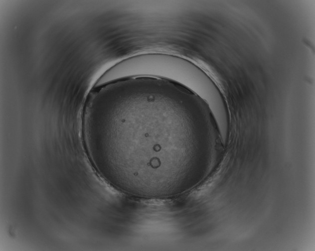 X0000091710862200709071411