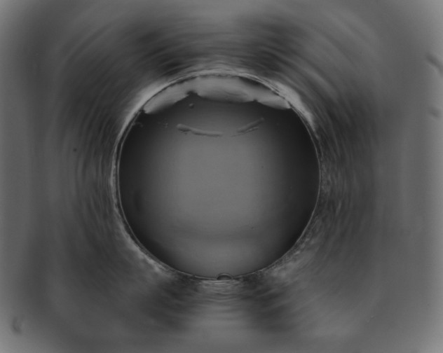 X0000091710863200709071411