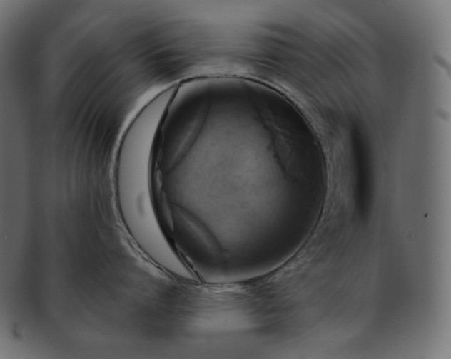 X0000091710864200709071411