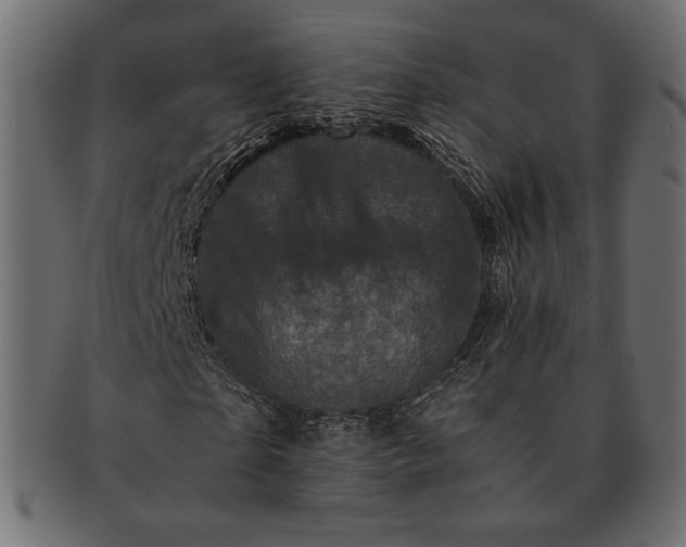 X0000091710865200709071410