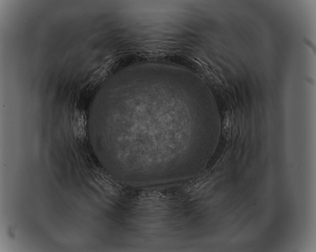 X0000091710866200709071410