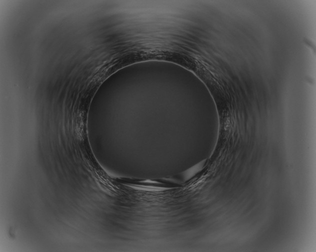 X0000091710868200709071410