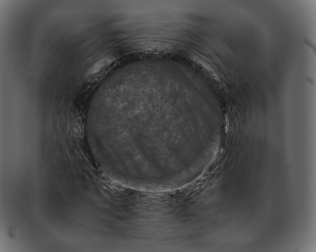 X0000091710869200709071410