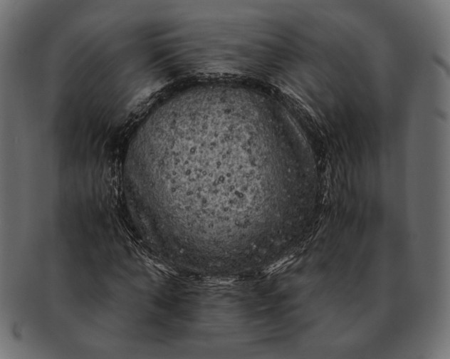 X0000091710870200709071410