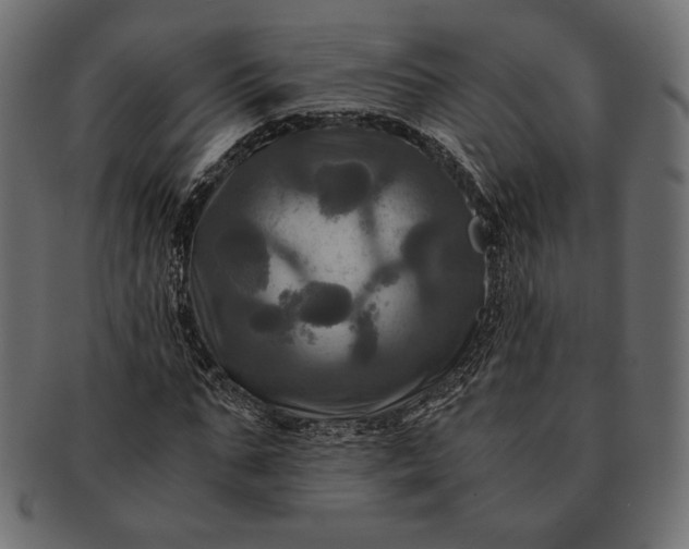 X0000091710871200709071410